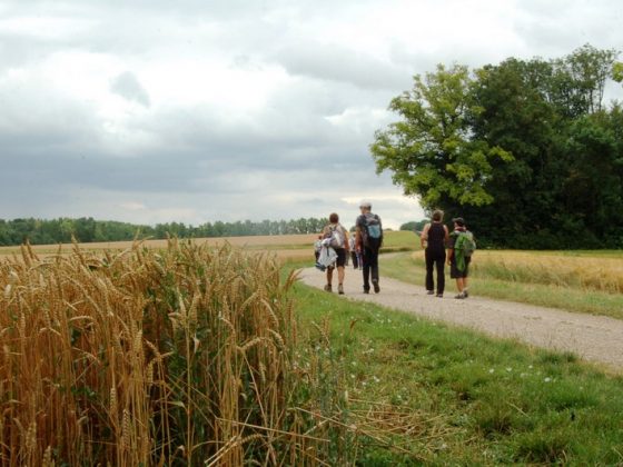 Via Francigena à Clerques